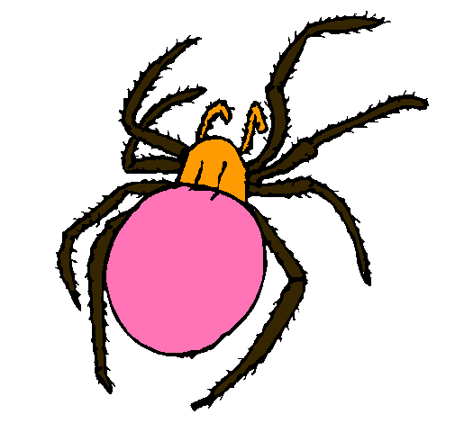 Araña venenosa