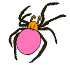 Dibujo Araña venenosa pintado por araas