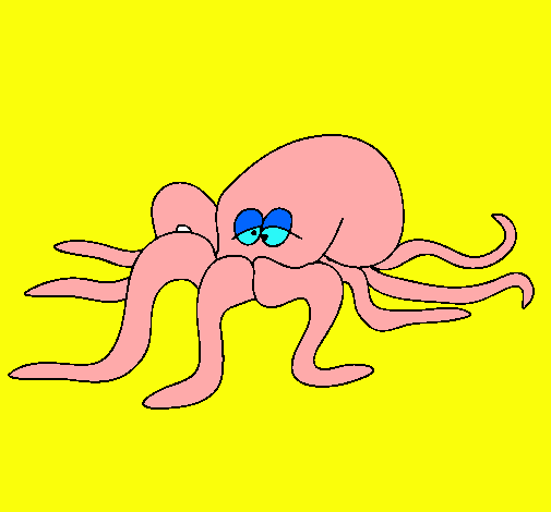 Pulpo