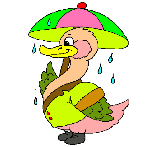 Pato bajo la lluvia