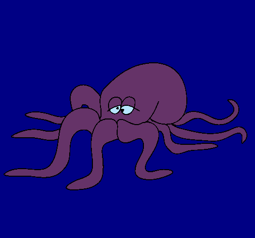 Pulpo