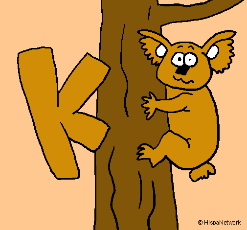 Koala