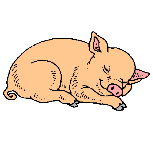 Cerdo durmiendo