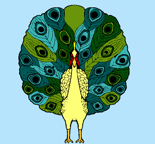 Pavo real