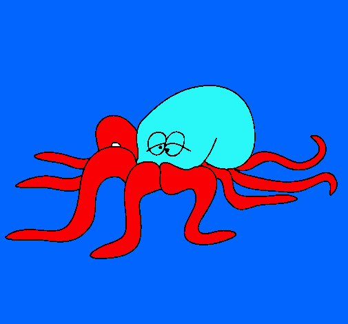 Pulpo