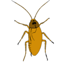 Dibujo Cucaracha grande pintado por danielherrera