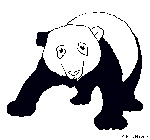 Oso panda