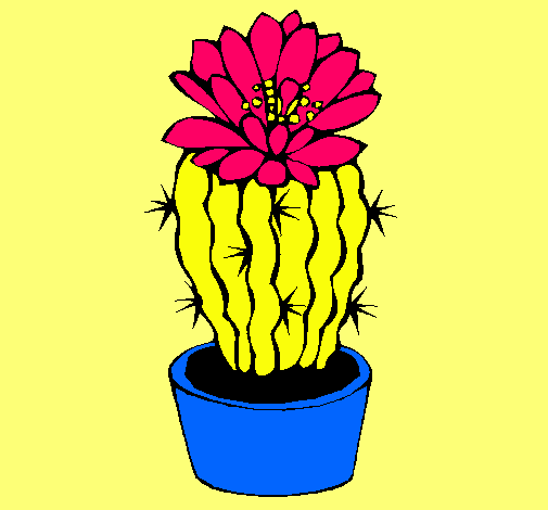 Cactus con flor