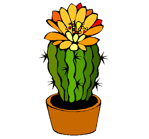 Cactus con flor