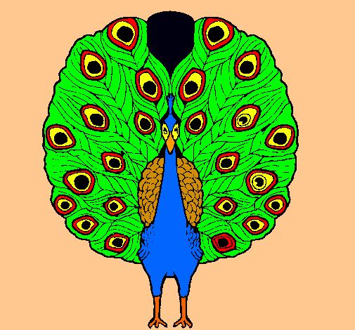 Pavo real