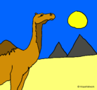Dibujo Camello pintado por felipecastellanos