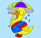 Dibujo Pato bajo la lluvia pintado por lobita
