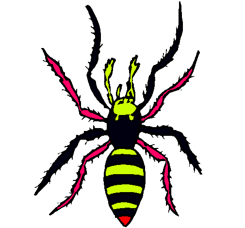 Araña tigre