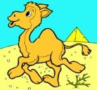 Dibujo Camello pintado por ANTONELLA