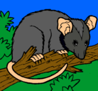 Dibujo Ardilla possum pintado por dino