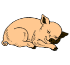 Dibujo Cerdo durmiendo pintado por MONSITA