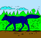 Dibujo Coyote pintado por alan