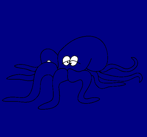 Pulpo