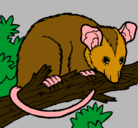 Dibujo Ardilla possum pintado por yaiza