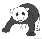 Dibujo Oso panda pintado por Sharay