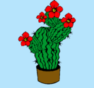 Dibujo Flores de cactus pintado por *MMDM*/21