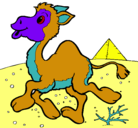Dibujo Camello pintado por kevin