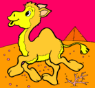 Dibujo Camello pintado por saory
