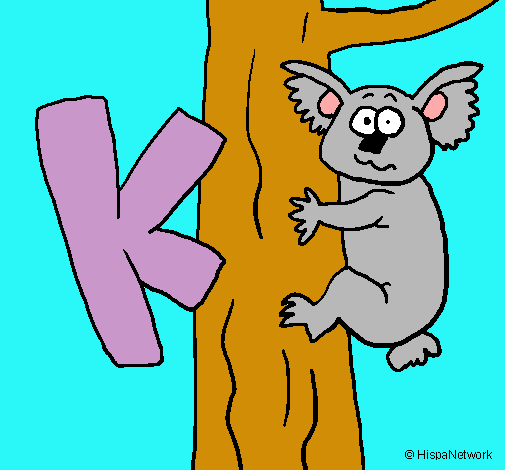 Koala