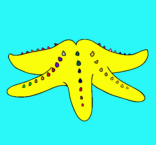 Estrella de mar