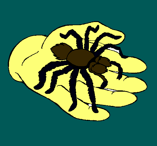 Tarántula