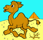 Dibujo Camello pintado por rexrex