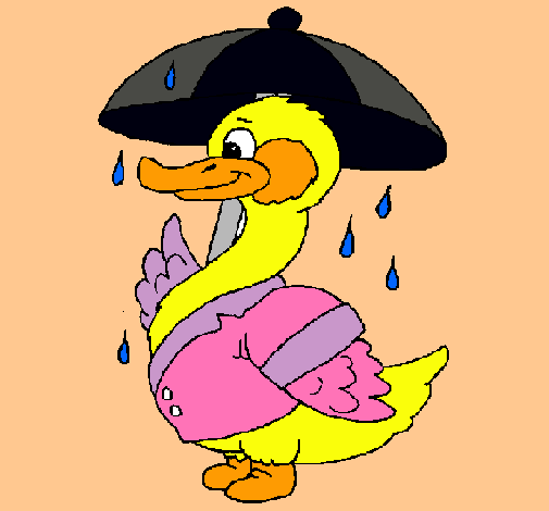 Pato bajo la lluvia