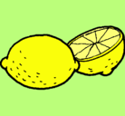 Dibujo limón pintado por agustina