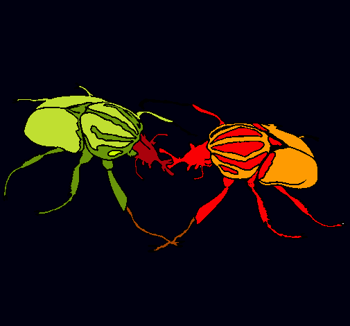 Escarabajos