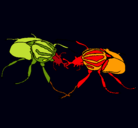 Dibujo Escarabajos pintado por paolacristina