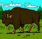 Dibujo Búfalo  pintado por juanma