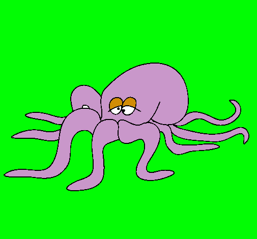 Pulpo