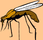 Dibujo Mosquito pintado por FELIPITO