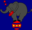 Dibujo Elefante encima de una pelota pintado por cistianemiliano