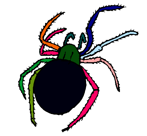 Araña venenosa