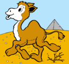 Dibujo Camello pintado por jesuspadreyjesushijo