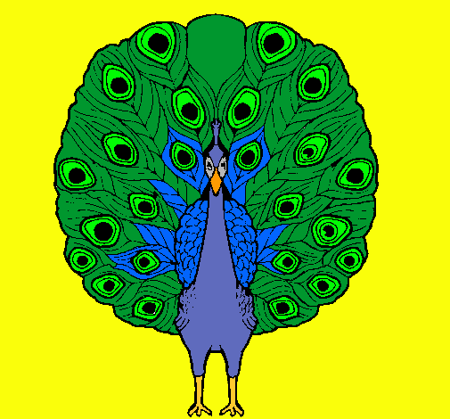 Pavo real