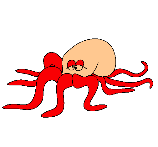 Pulpo