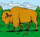 Dibujo Búfalo  pintado por danielgaston