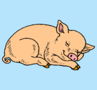 Dibujo Cerdo durmiendo pintado por laura.
