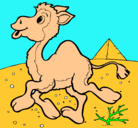 Dibujo Camello pintado por daniela