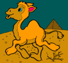 Dibujo Camello pintado por sofia