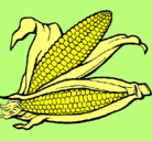 Dibujo Mazorca de maíz pintado por xiomarasarahi