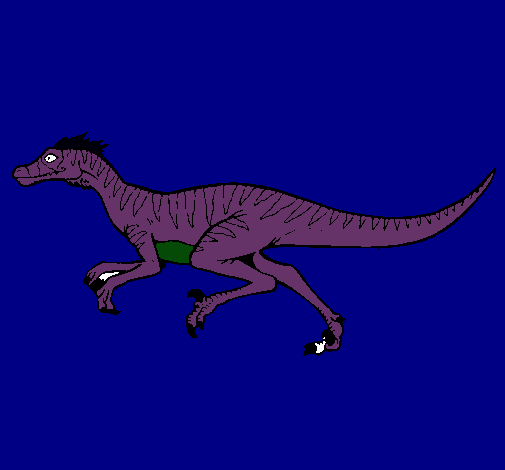 Velociraptor