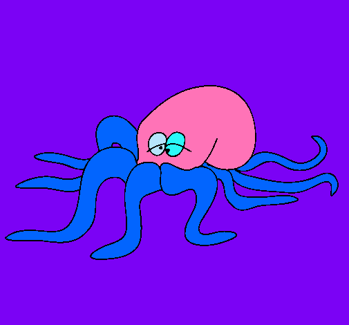 Pulpo